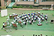 Photo_8